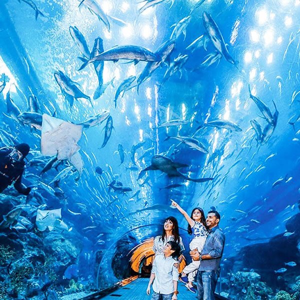 Burj-Khalifa-124th-Floor-&-Aquarium1