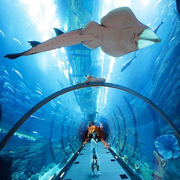 Burj-Khalifa-124th-Floor-&-Aquarium2