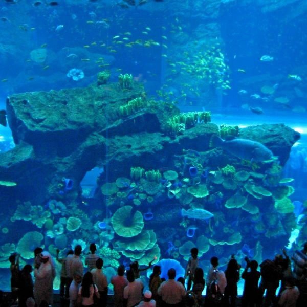 Burj-Khalifa-124th-Floor-&-Aquarium3