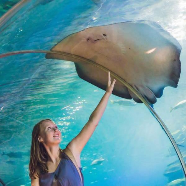 Burj-Khalifa-124th-Floor-&-Aquarium5