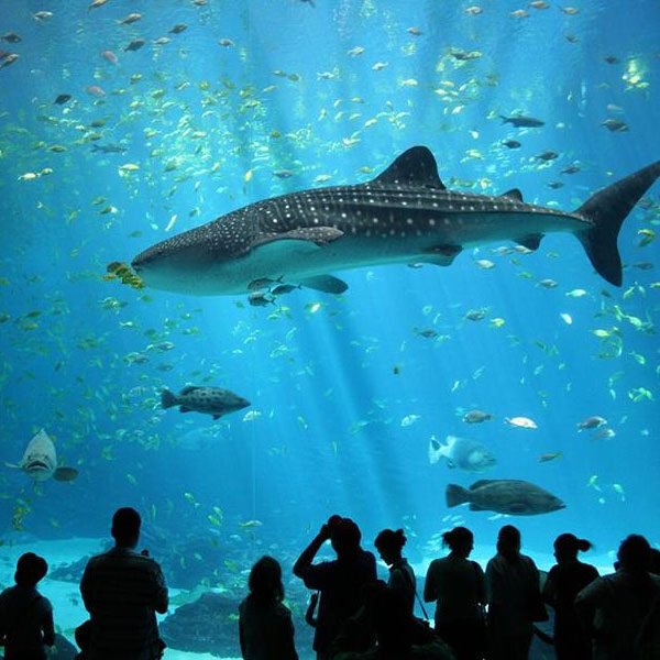 Burj-Khalifa-124th-Floor-&-Aquarium6