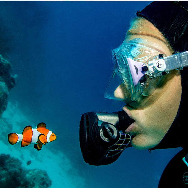 Discover-Scuba-Diving1