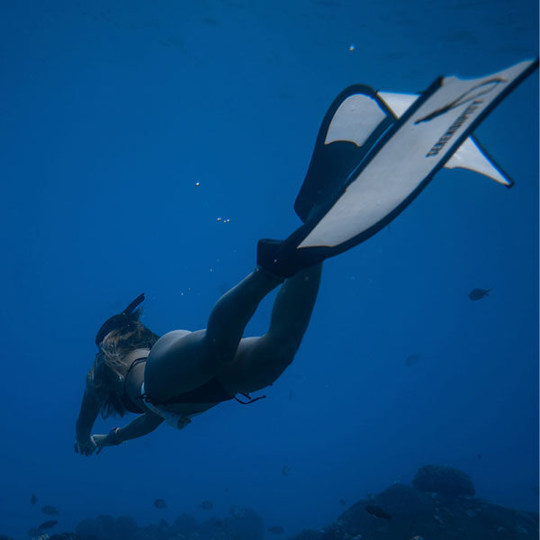 Discover-Scuba-Diving3