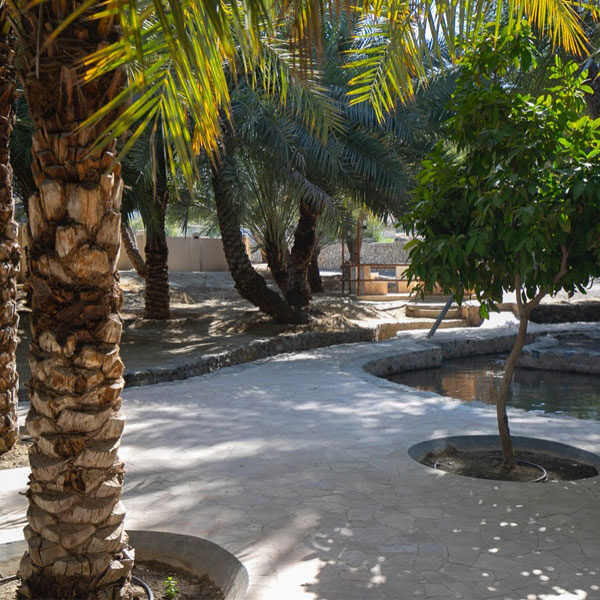 Full-Day-Guided-Hatta-Mountain-Tour-With5