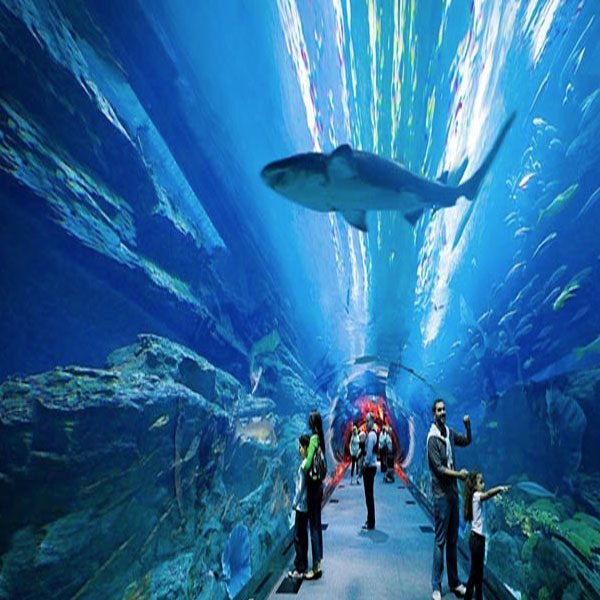 Lost-Chamber-Aquarium4