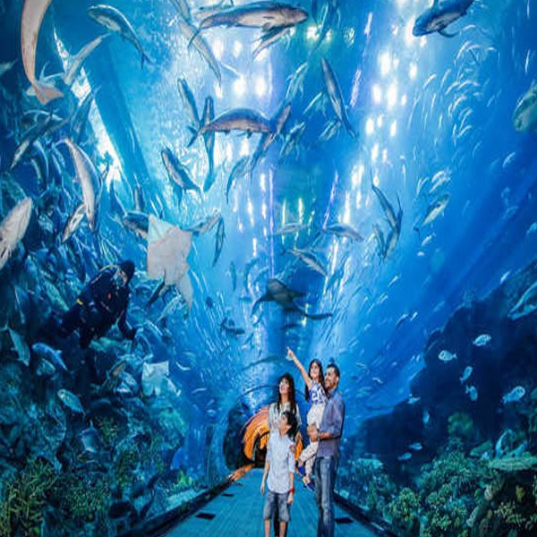 Lost-Chamber-Aquarium5